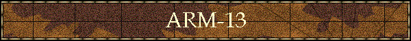 ARM-13